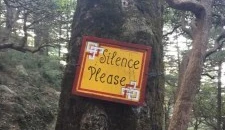 Meditation Retreat in India: A Phenomenological Study of Silence