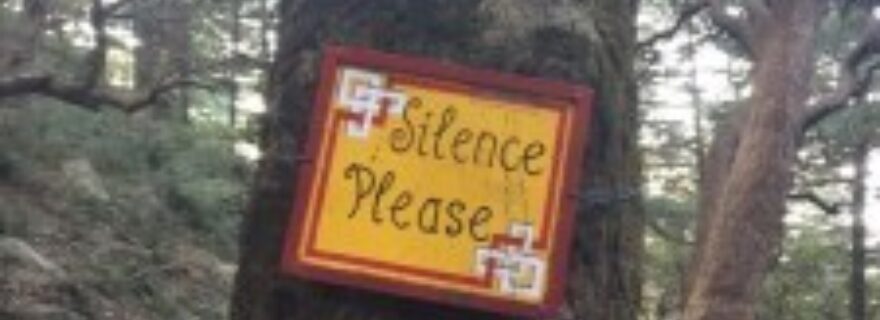 Meditation Retreat in India: A Phenomenological Study of Silence